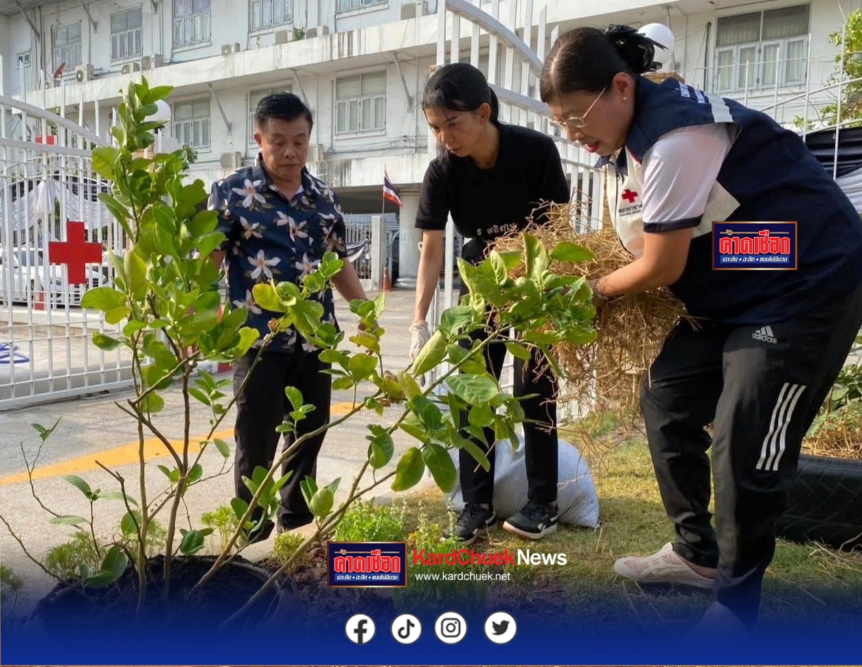 พช.ชลบุรี Kick Off ผู้นำทำก่อน ปลูกผักสวนครัว สร้างความมั่นคงทางอาหารอย่างยั่งยืน