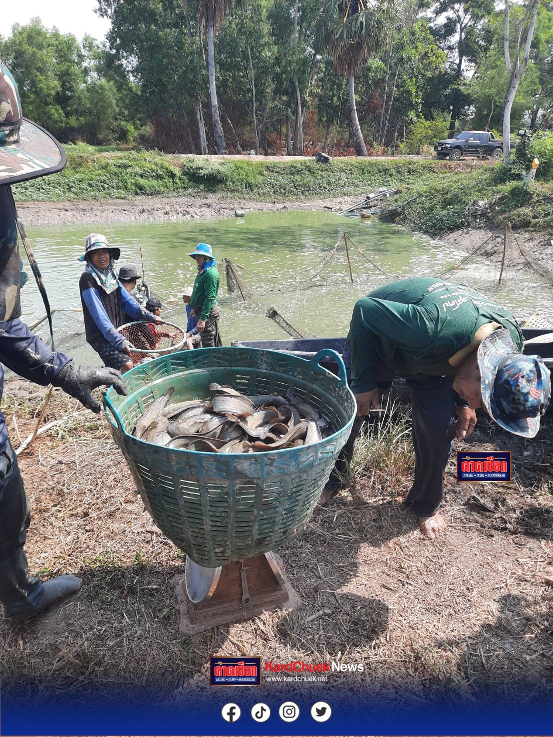ปราจีนบุรี วิกฤติลามปลาล้นตลาดขายไม่ออก หลังด่านไทย-กัมพูชา ปิดยาว