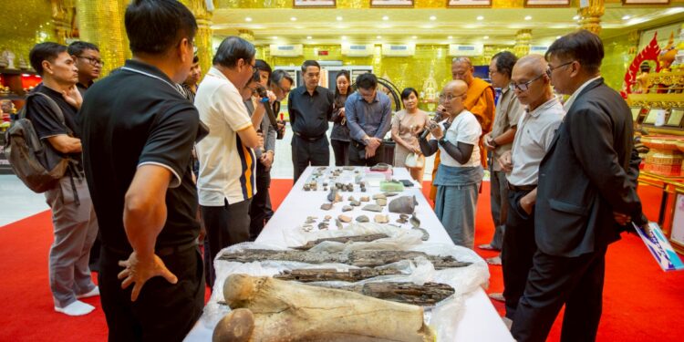 ม.ศิลปากร ส่งมอบซากเรือโบราณ อายุ 1,200 ปี ชิ้นสำคัญในประวัติศาสตร์ วัดไผ่ล้อมพระอารามหลวง เตรียมเผยแพร่นครปฐมเมืองยิ่งใหญ่ยุคทวารวดี