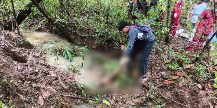 สุดสลดชาวบ้านออกหาเห็ดถูกช้างป่าทำร้ายภาพลำตัวขาดครึ่งเสียชีวิตกลางป่า