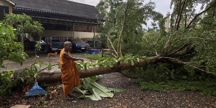 ตราด ระทึกกลางพิธีเผาศพ พายุฝนกระหน่ำวัดคลองแอ่ง ต้นหูกระจงยักษ์โค่นล้ม หวิดทับกุฏิเจ้าอาวาส