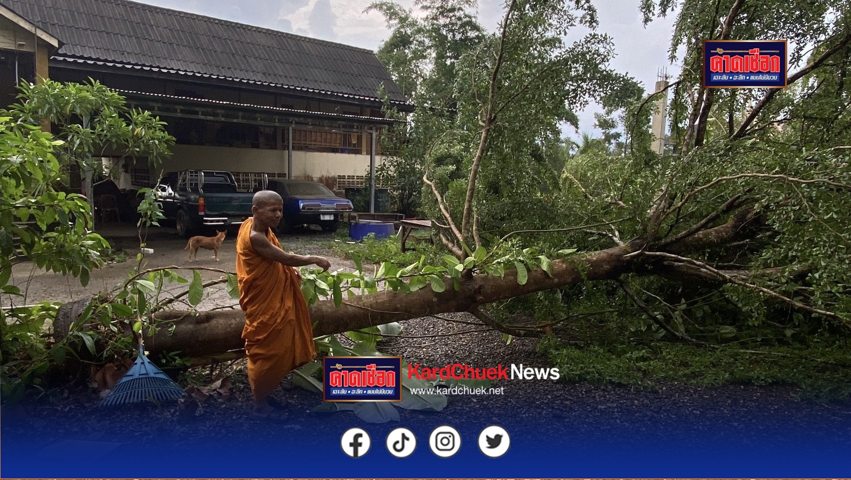 ตราด ระทึกกลางพิธีเผาศพ พายุฝนกระหน่ำวัดคลองแอ่ง ต้นหูกระจงยักษ์โค่นล้ม หวิดทับกุฏิเจ้าอาวาส