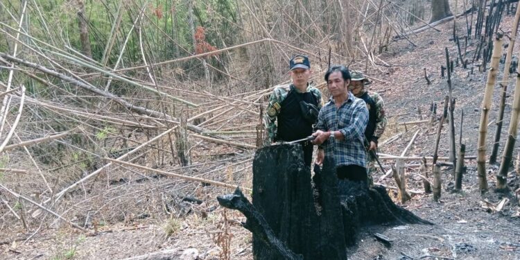 แม่ฮ่องสอน เขตรักษาพันธุ์สัตว์ป่าลุ่มน้ำปาย จับกุมชาวบ้านแผ้วถางเผาป่าปางมะผ้า กว่า 2 ไร่ คาของกลาง 