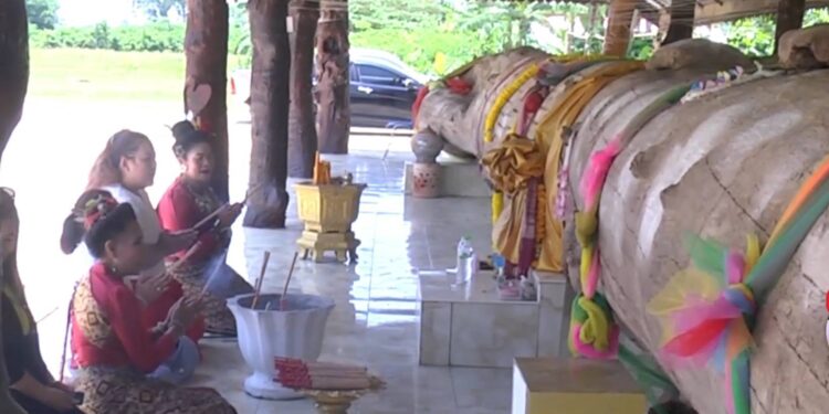 สกลนคร แห่แก้บนท้าวเวสสุวรรณ เจ้าแม่ตะเคียนทอง อายุกว่า 300 ปี