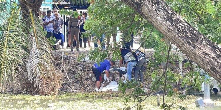 ปทุมธานี หญิงสูงวัยโดดน้ำฆ่าตัวตายศพลอยอืดคลองแปด