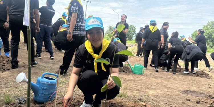 อบต.มาบไผ่”  จัดกิจกรรมจิตอาสา ทำดีด้วยหัวใจ เนื่องในวันพระบาทสมเด็จพระปกเกล้าเจ้าอยู่หัว