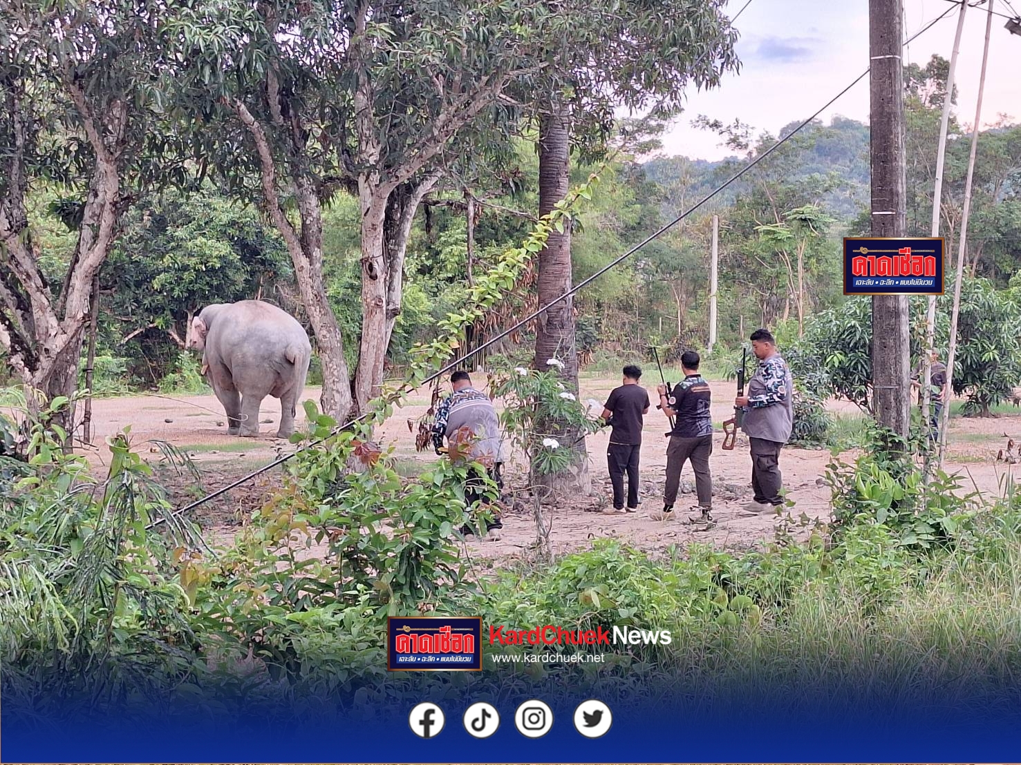 ปราจีนบุรี สบอ.1 ปราจีนบุรี ระดมทีมแพทย์ผนึกกำลังชาวบ้าน เร่งรักษาพลายสาริกา ช้างป่าขวัญใจชุมชน บาดเจ็บที่เท้าหน้าซ้าย มั่นใจฟื้นตัวได้หากเฝ้าระวังใกล้ชิด