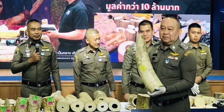 ตำรวจปทส.ร่วมป่าไม้เปิดปฏิบัติการ Broken Ivory “คชาฆาตปิดปลายงา”บุก 7 จังหวัด ทลายเครือข่ายค้างาช้างข้ามชาติ ยึดของกลางมูลค่าเกือบ 10 ล้านบาท