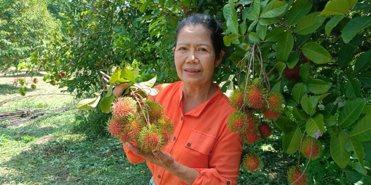 ปราจีนบุรี เปิดแลนด์มาร์กสายกรีนใหม่ สวนสุขสำราญ กบินทร์บุรี ชวนเช็กอินชิมเงาะโรงเรียนหวานล่อน ทุเรียนหมอนทอง GI ปลอดสาร สดๆ จากต้น