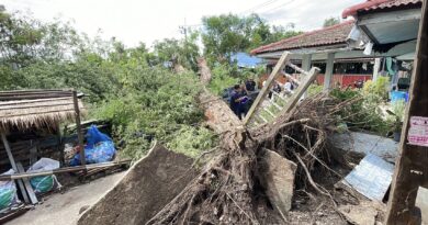 ปทุมธานี พายุฝนถล่มต้นไม้อายุร้อยปีโค่นทับบ้านรถเสียหาย 23 หลังเจ็บ 1 รายถูกหลังคาบ้านอื่นปลิวทั้งแผงทับบ้านตัวเอง