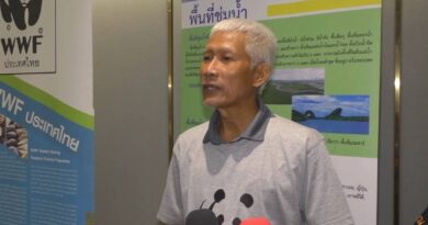 สกลนคร หวั่นนกในหนองหารสูญพันธุ์วอนหยุดล่า