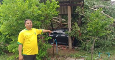 ชัยภูมิ พายุหลงฤดูพัดต้นไม้ใหญ่นับ 100 ปี ทับบ้านเรือนและรถยนต์ชาวบ้านพังเสียหาย