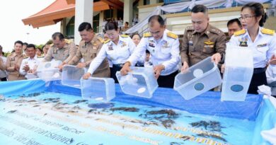 กรมประมงน้อมสำนึกในพระมหากรุณาธิคุณ พระบรมราชชนนีพันปีหลวง จัดพิธีปล่อยพันธุ์สัตว์น้ำเฉลิมพระเกียรติ 2,330,000 ตัว สืบสานพระราชปณิธาน ฟื้นฟูทรัพยากรสัตว์น้ำไทย เทิดไท้พระพันปีหลวง
