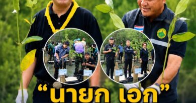 เทศบาลนครบ้านสวนจัดโครงการพลิกฟื้นผืนป่าด้วยพระบารมี ปลูกป่าชายเลน เพื่อเพิ่มพื้นพื้นที่สีเขียว