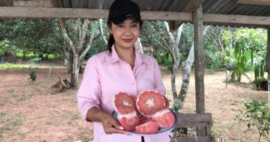 ชัยภูมิ ชวนเที่ยวชิมส้มโอแดงภูคิ้งออแกนิคนั่งเรือชมธรรมริมเขื่อนน้ำพรมที่บ้านบุ่งสิบสี่
