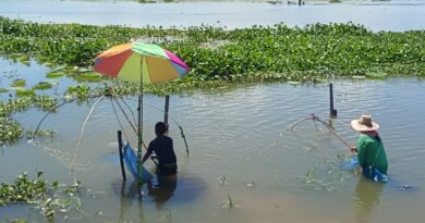 ชัยภูมิ ชาวบ้านพลิกวิกฤติหลังเกิดน้ำท่วมสร้างโอกาสจับปลาไปขายทำเงินวันละกว่า 1,000 บาท  วิถีชีวิตชาวบ้าน ต.ละหานอ.จัตุรัส