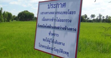 ยโสธร-แขวงทางหลวงปิดไฟข้างทางช่วยชาวนาให้ข้าวออกรวง 