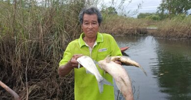 ปราจีนบุรี-วิกฤตน้ำเสียลามหนักแม่น้ำปราจีนบุรี!หลังน้ำท่วมลดระดับ *********พบ ปลากระชังตายเกลื่อน-สูญนับล้าน พระครวญสัตว์น้ำลอยหัวแน่นหน้าวัดดังวัดประทุมบูชาแลนด์มาร์คแหล่งท่องเที่ยวปู่ท้าวเวชสุวรรณ